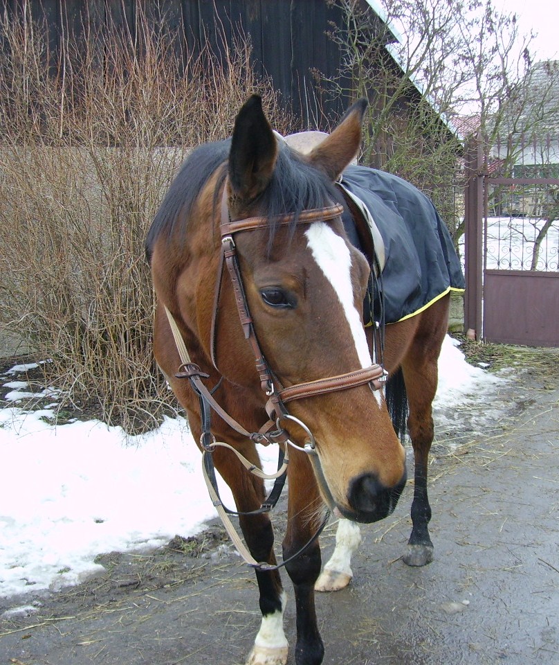 už jen nasednout a jedeme