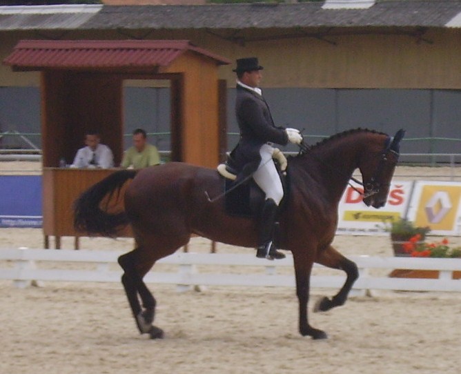 IMGP4881.JPG